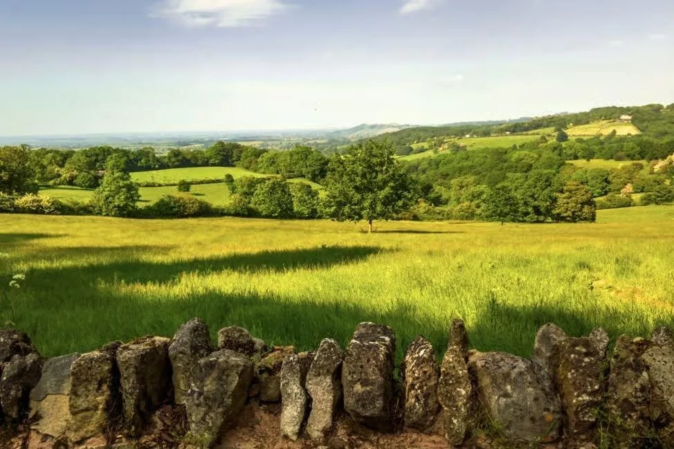 Verdes campos de los Cotswolds tras un muro de piedra seca