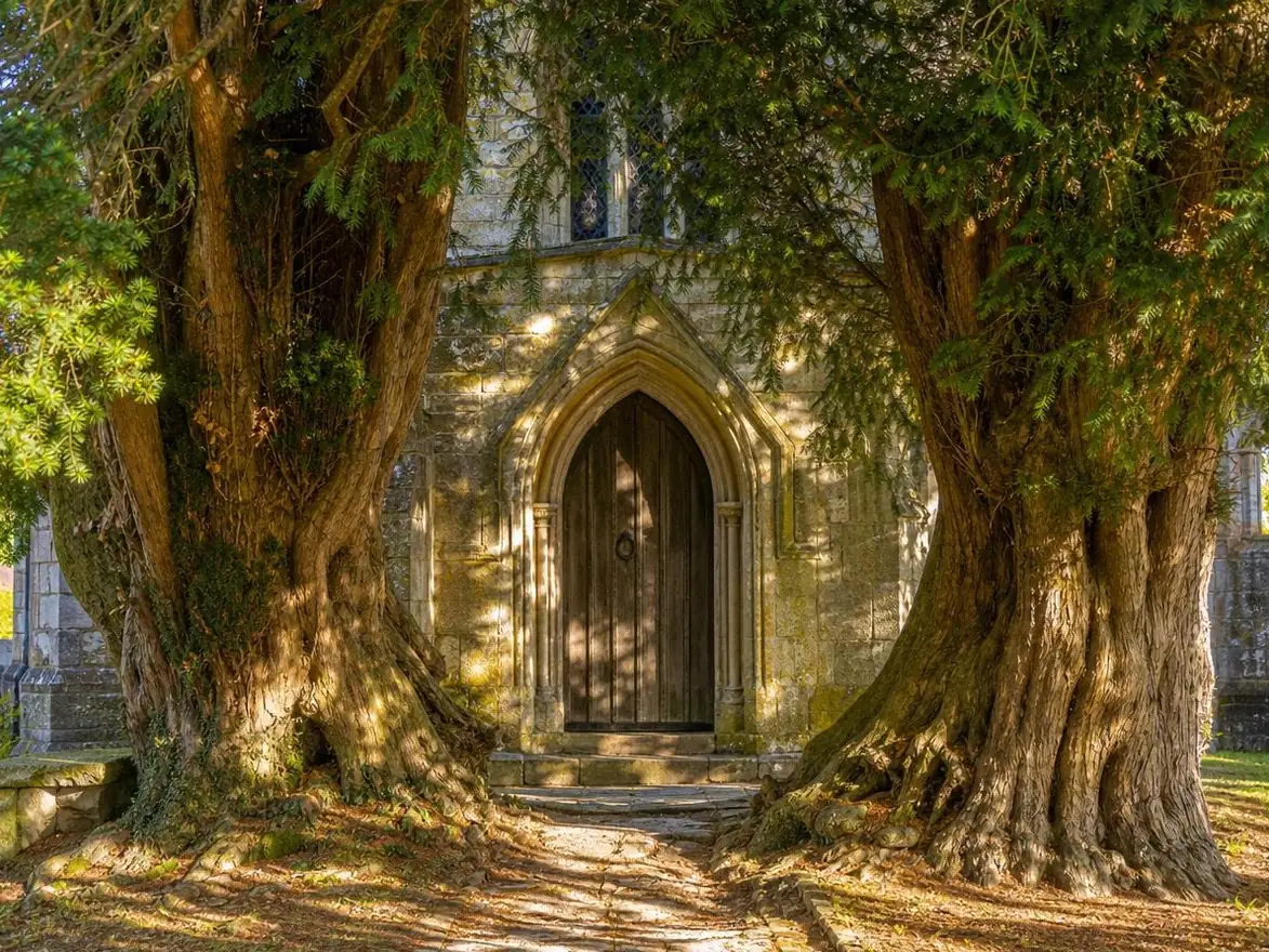 Eine alte Holztür einer Kirche, eingerahmt von zwei uralten Eiben